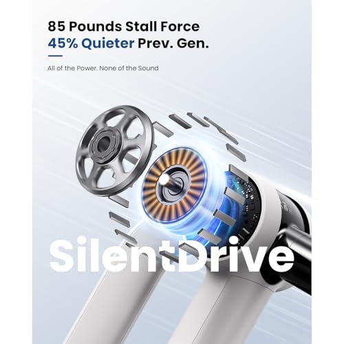 Dual Heated Massage Gun Set
