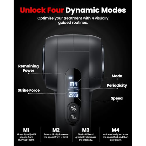 Dual Massage Gun Set with Light and Heat